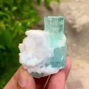 specimen video