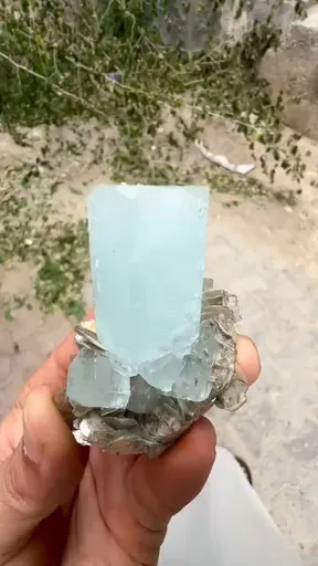 specimen video