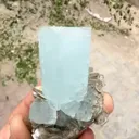 specimen video