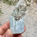 Aquamarine on Mica from Pakistan - image 6