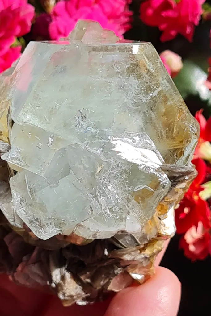 Aquamarine on Moscovite from Pingwu beryl mine, China. Gorgeous specimen of aquamarine light blue gems, associated with the Muscovite image
