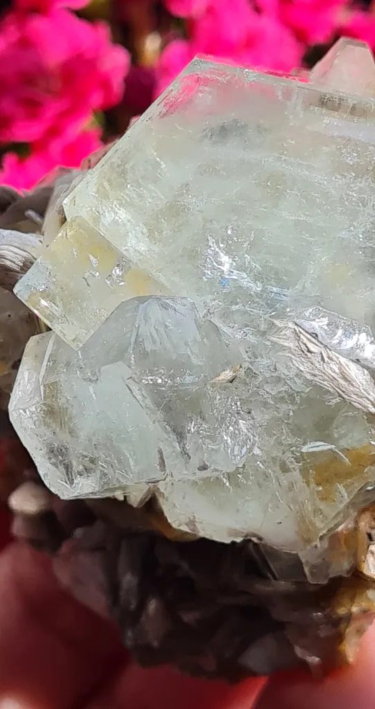 Aquamarine on Moscovite from Pingwu beryl mine, China. Gorgeous specimen of aquamarine light blue gems, associated with the Muscovite - image 7