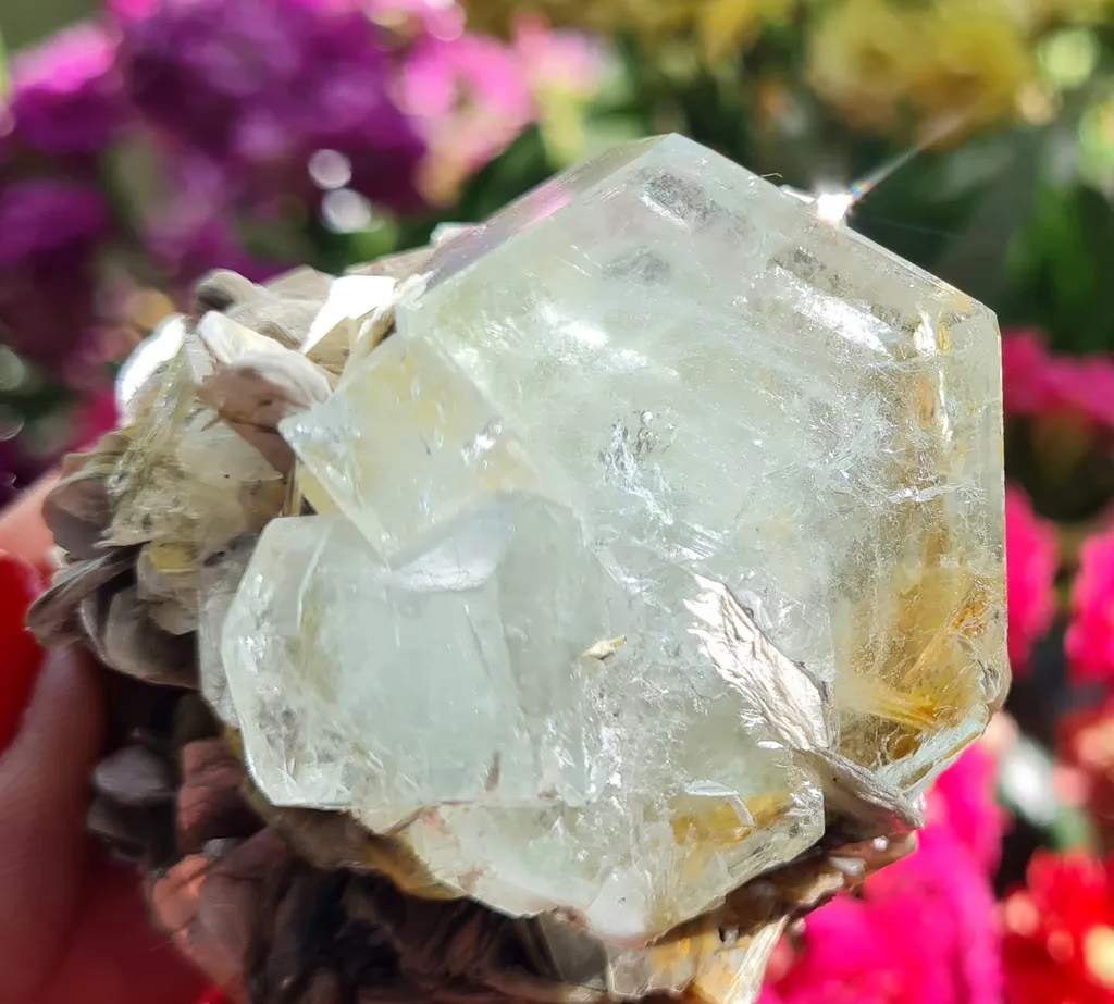 Aquamarine on Moscovite from Pingwu beryl mine, China. Gorgeous specimen of aquamarine light blue gems, associated with the Muscovite - image 8