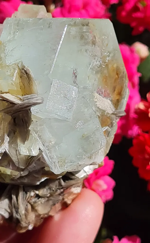 Aquamarine on Moscovite from Pingwu beryl mine, China. Gorgeous specimen of aquamarine light blue gems, associated with the Muscovite - image 5