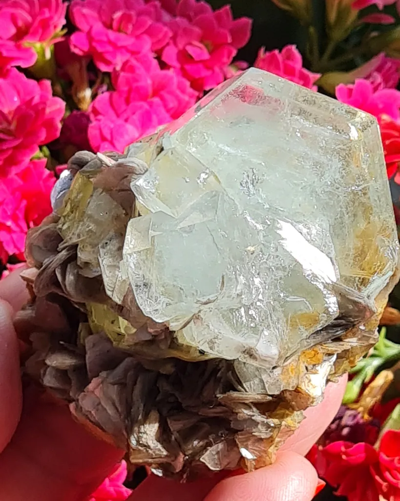 Aquamarine on Moscovite from Pingwu beryl mine, China. Gorgeous specimen of aquamarine light blue gems, associated with the Muscovite - image 4