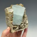 Aquamarine on Muscovite - image 2