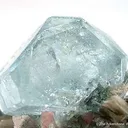 Aquamarine on Muscovite - image 3