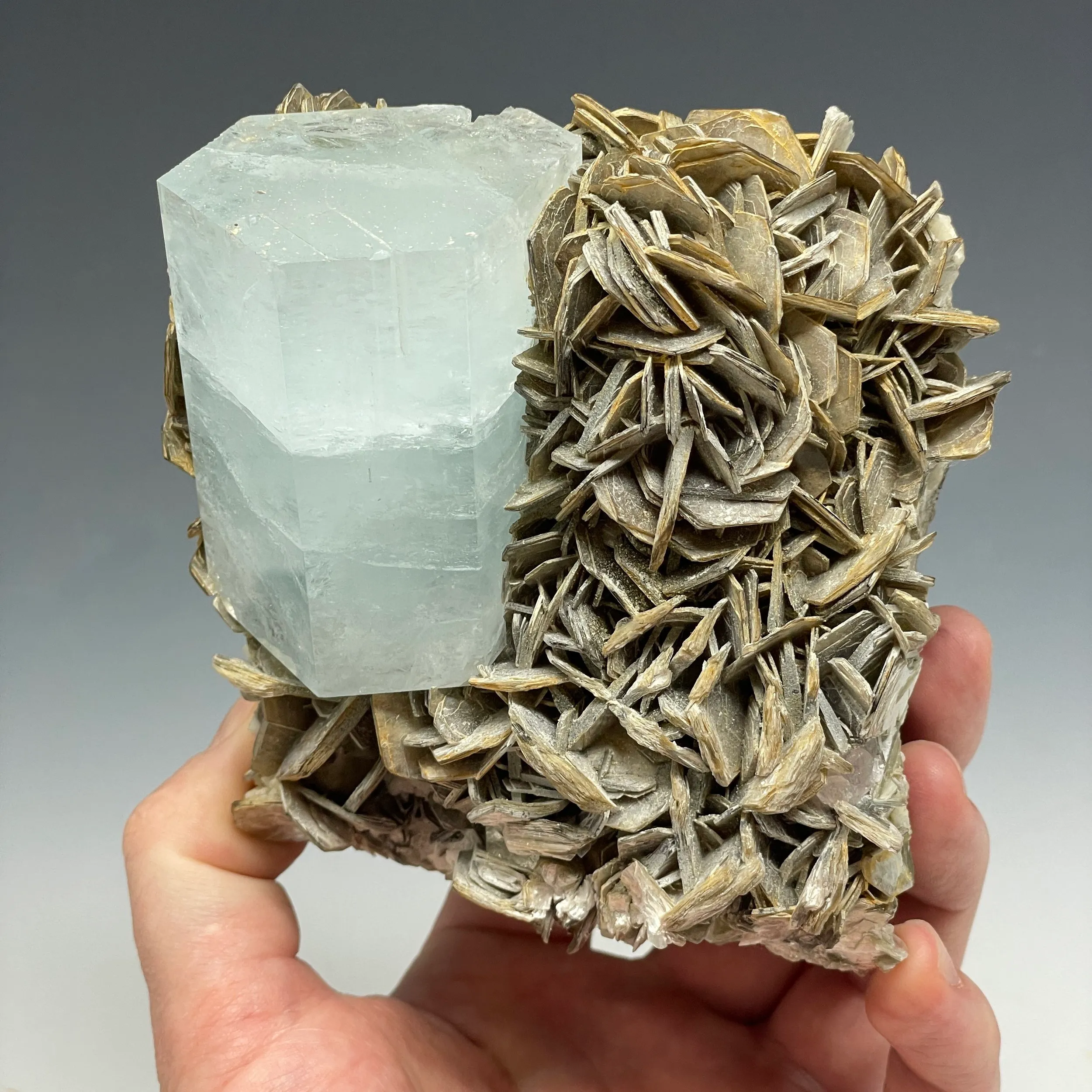 Aquamarine on Muscovite - image 5