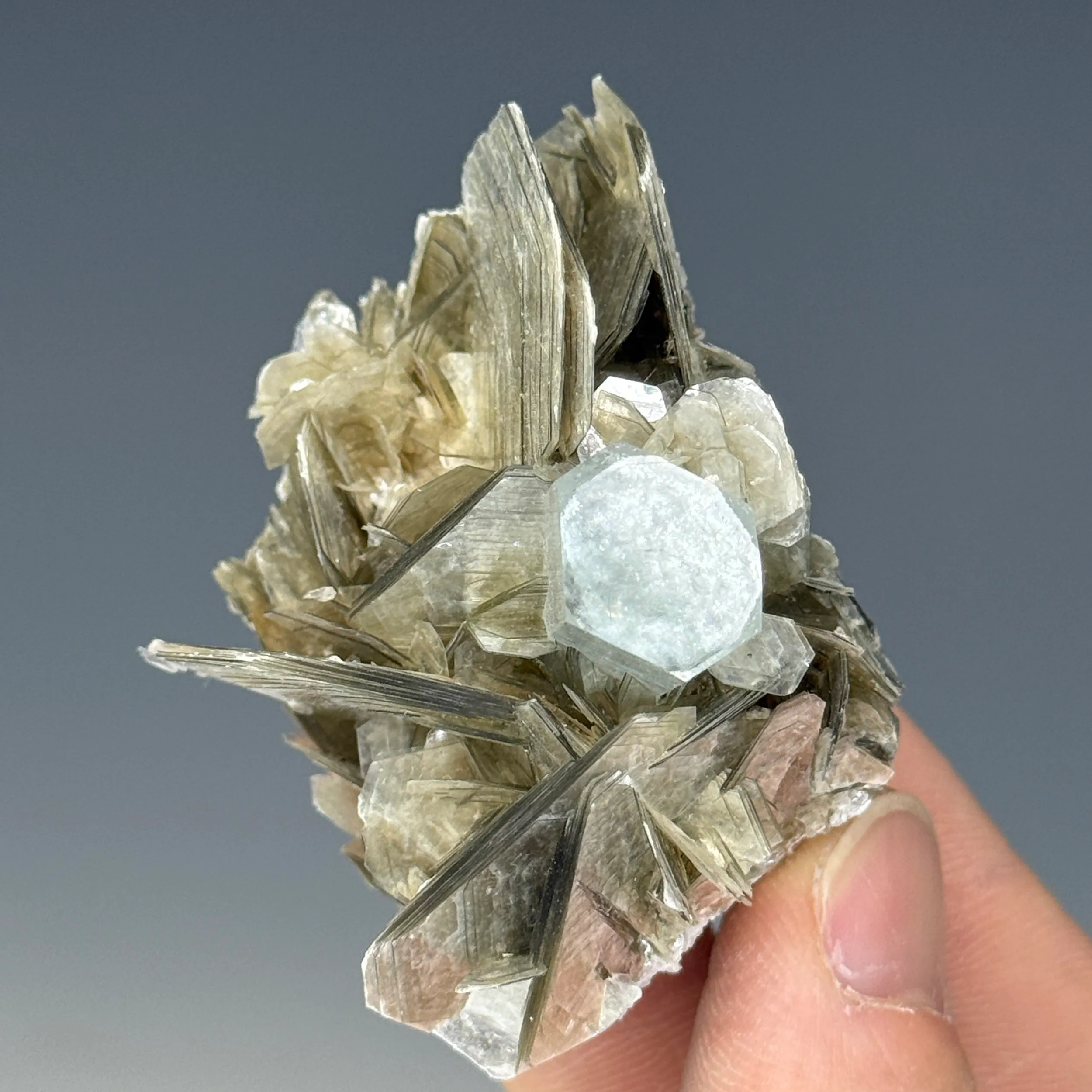 Aquamarine on Muscovite - image 3