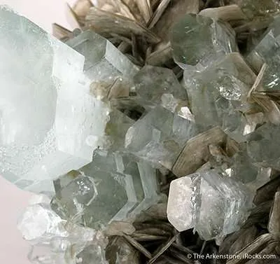 Aquamarine on Muscovite - image 3