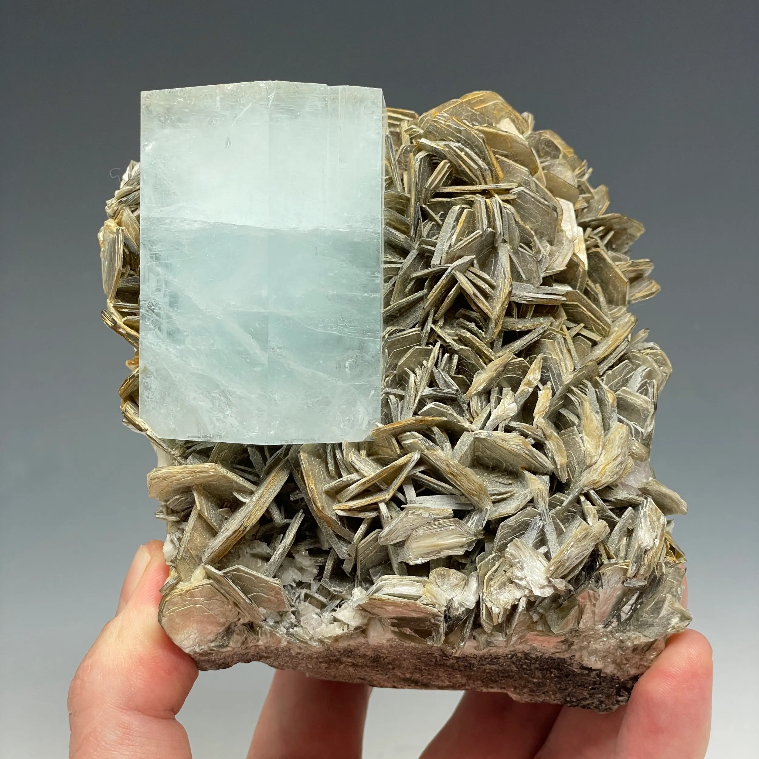 Aquamarine on Muscovite - image 4
