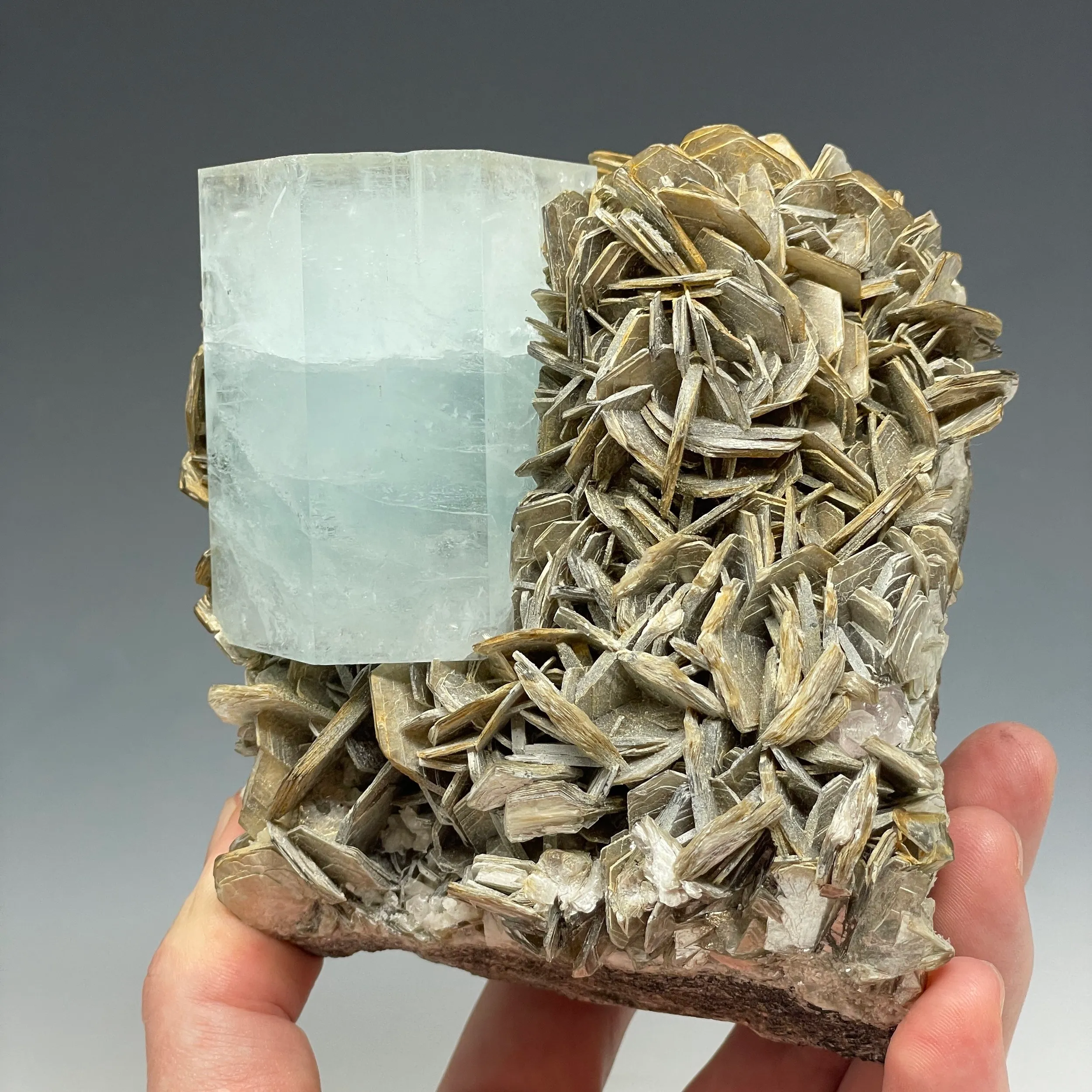 Aquamarine on Muscovite - image 3