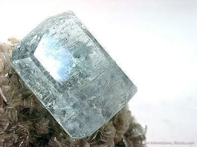 Aquamarine on Muscovite - image 2