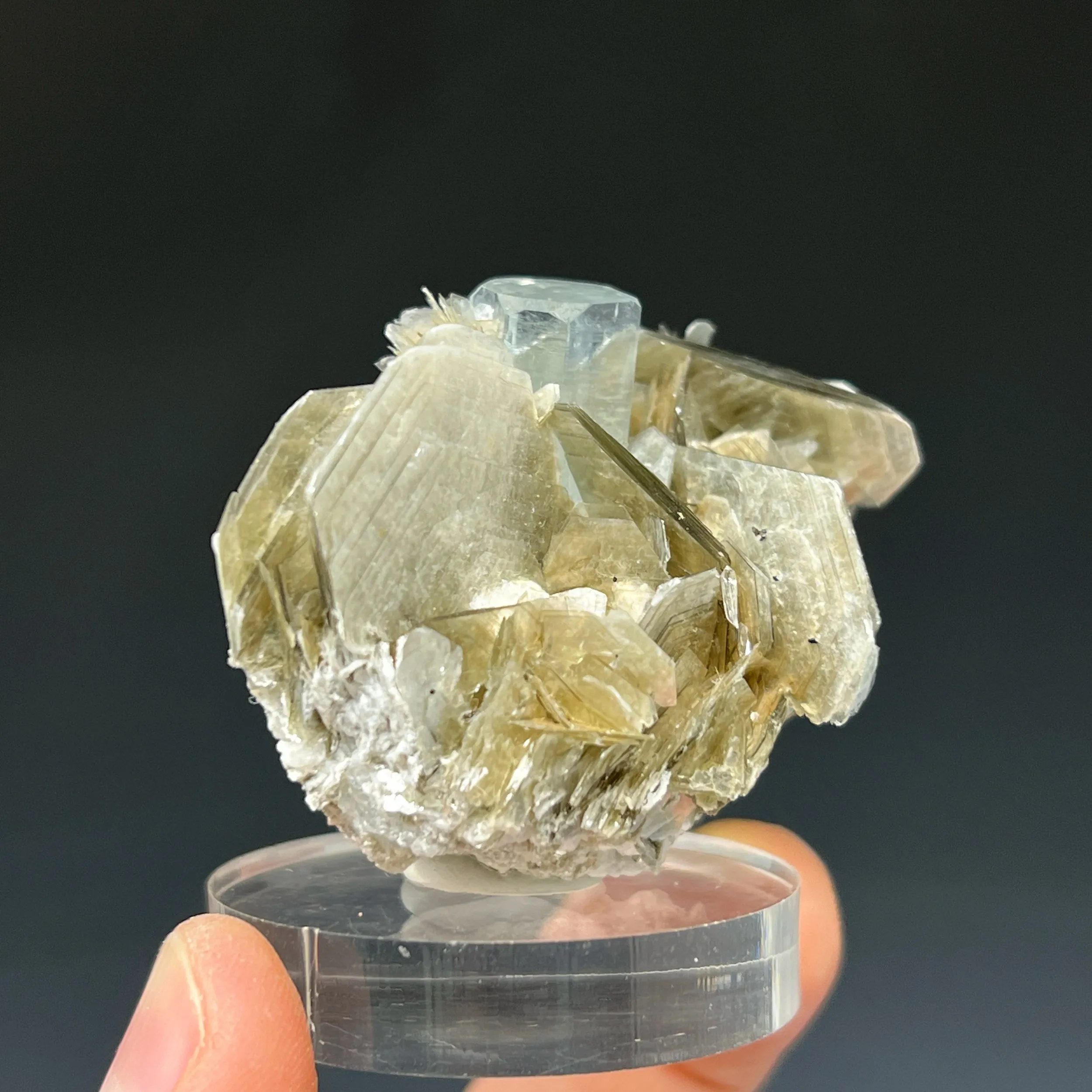 Aquamarine on Muscovite, Shigar Valley, Gilgit-Baltistan, Pakistan - image 2