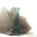 Aquamarine on Quartz - image 1