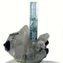 Aquamarine on Quartz With Schorl - image 1