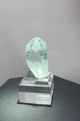 specimen video