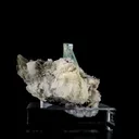 specimen video