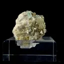 specimen video