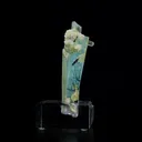 specimen video