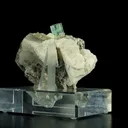 specimen video