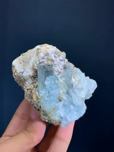 specimen video