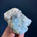 specimen video