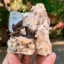 specimen video