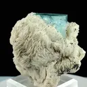 specimen video