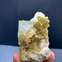 specimen video