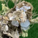 Aquamarine Specimen from Pakistan - image 4