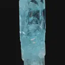 specimen video