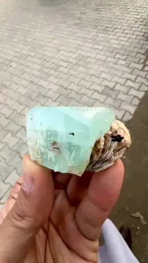 specimen video