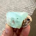specimen video