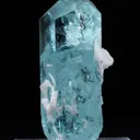 specimen video