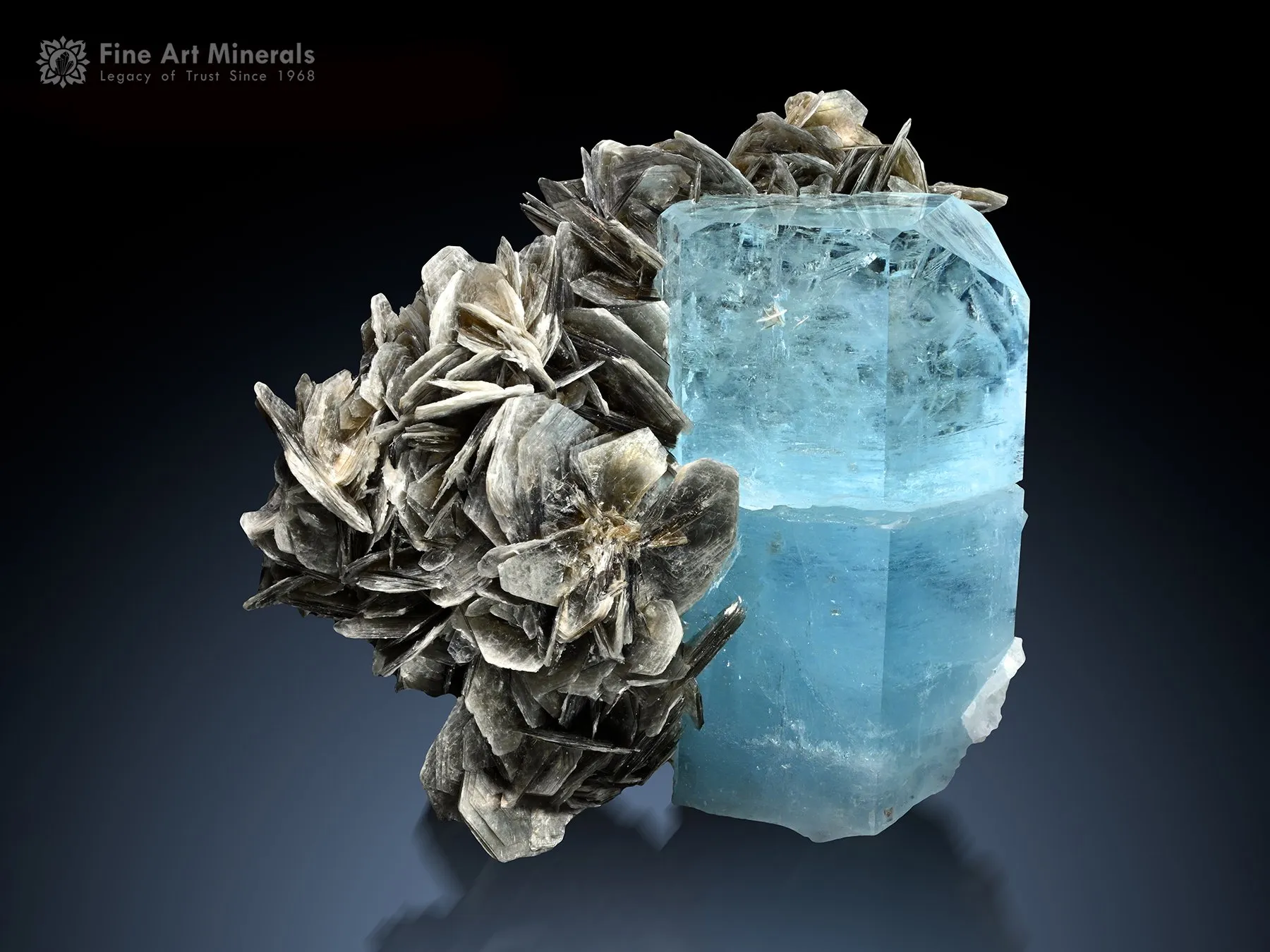 Aquamarine with Apatite and Muscovite from Nagar Pakistan - image 1