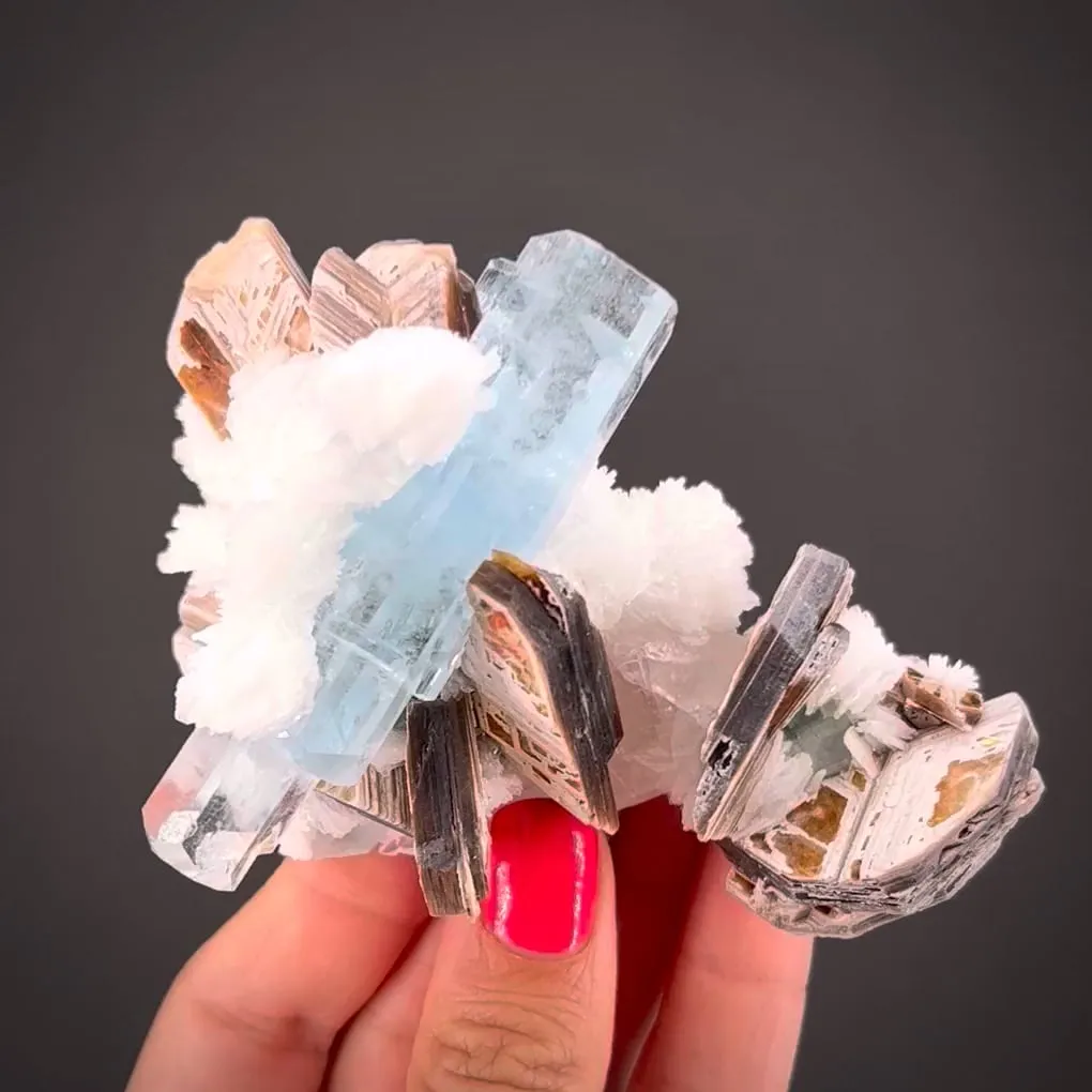 Aquamarine with Cleavelandite, Muscovite and Quartz image