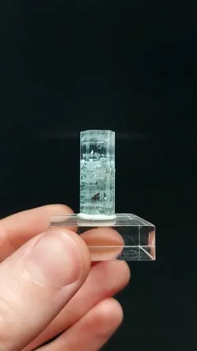specimen video