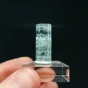 specimen video