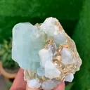 specimen video