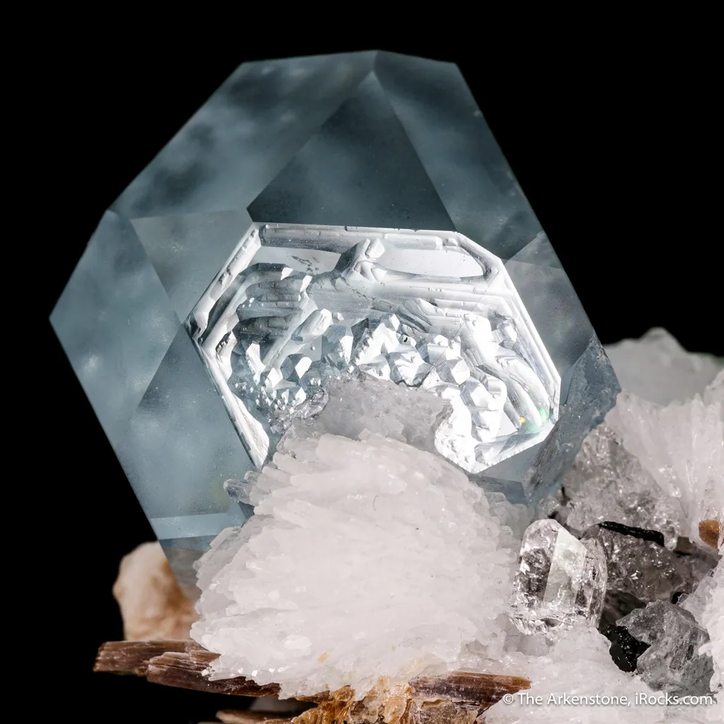 Aquamarine with Muscovite, Cleavelandite, and Fluorite - image 3