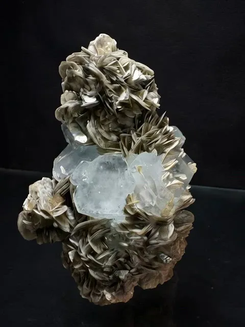specimen video