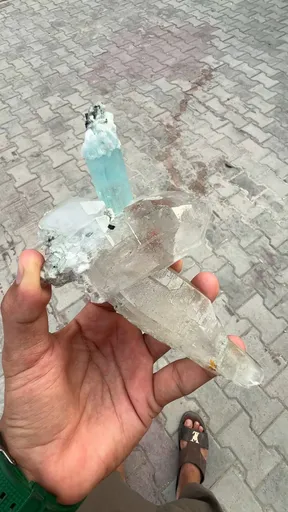 specimen video
