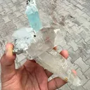 specimen video