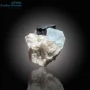 Aquamarine with Schorl Blue Cap - image 2