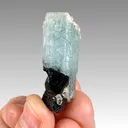 Aquamarine with Schorl from Namibia, Erongo Region - image 4