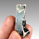 Aquamarine with Schorl from Namibia, Erongo Region - image 2