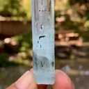 specimen video
