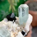 Aquamarine with Schorl on Matrix  from Pakistan - image 4