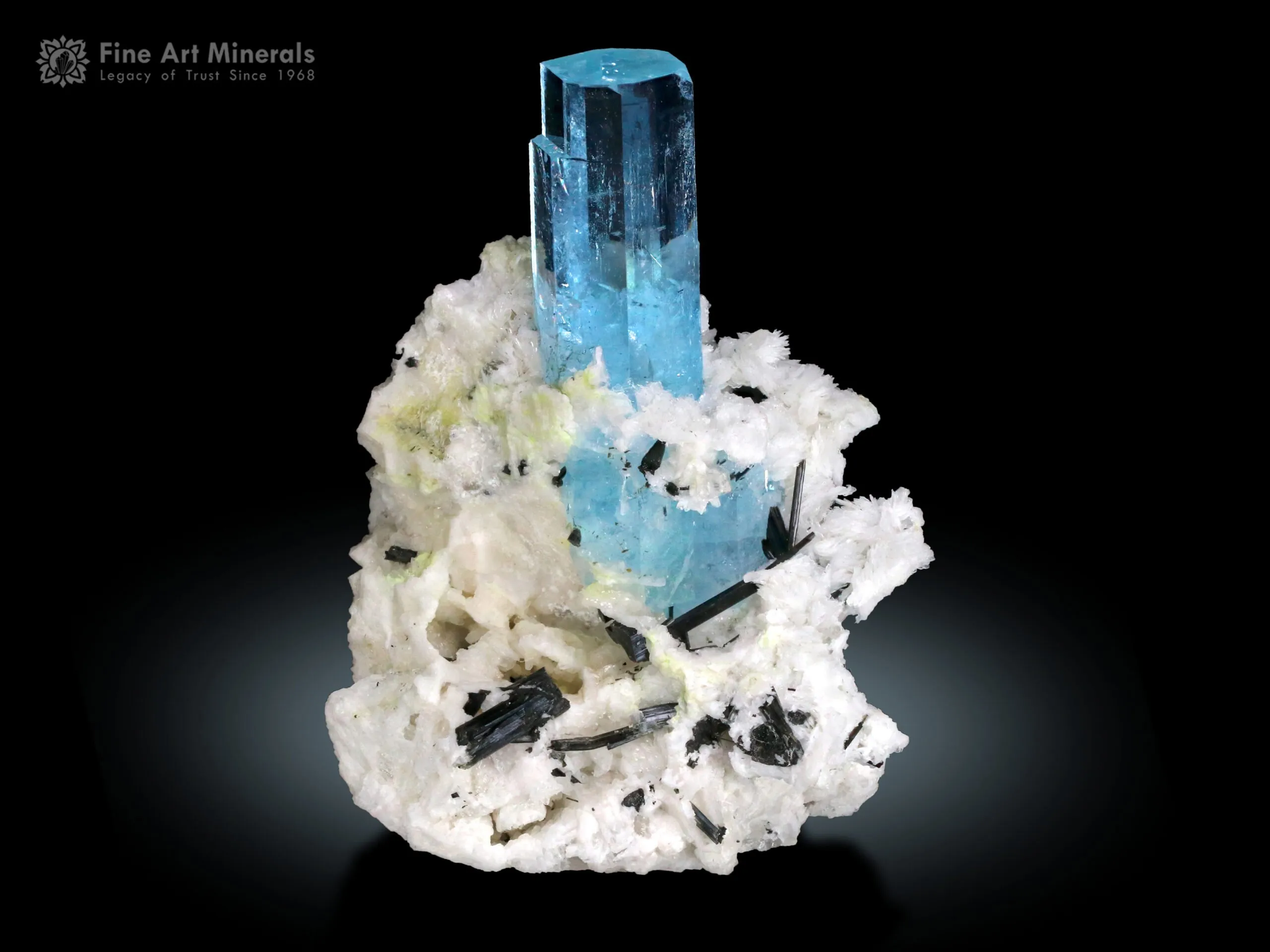 Aquamarine with Schorl Spray from Pakistan - image 1